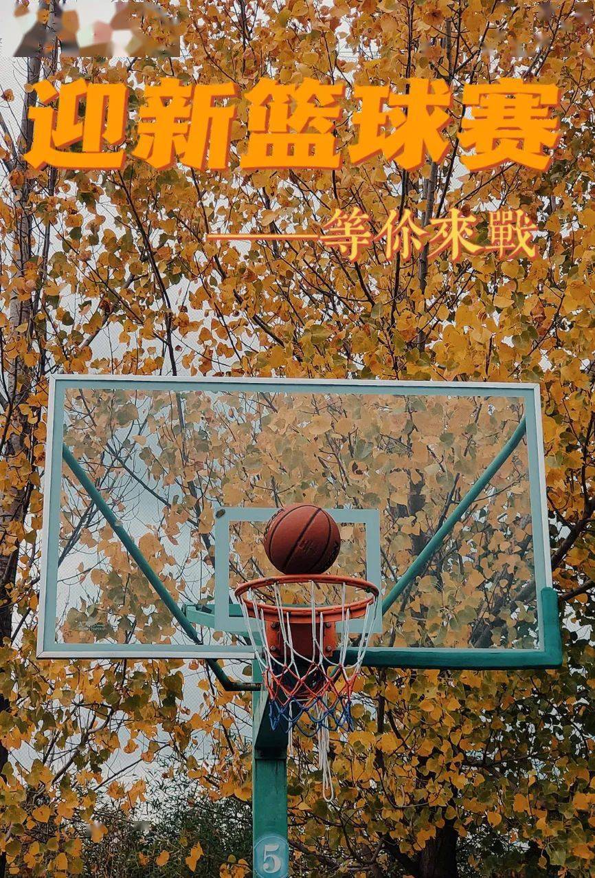 半岛体育入口-2011年nba总决赛热火vs小牛录像回放